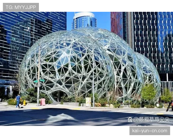 拉斯维加斯新球馆建设方案获批，为未来扩军做准备